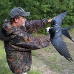 article image - 